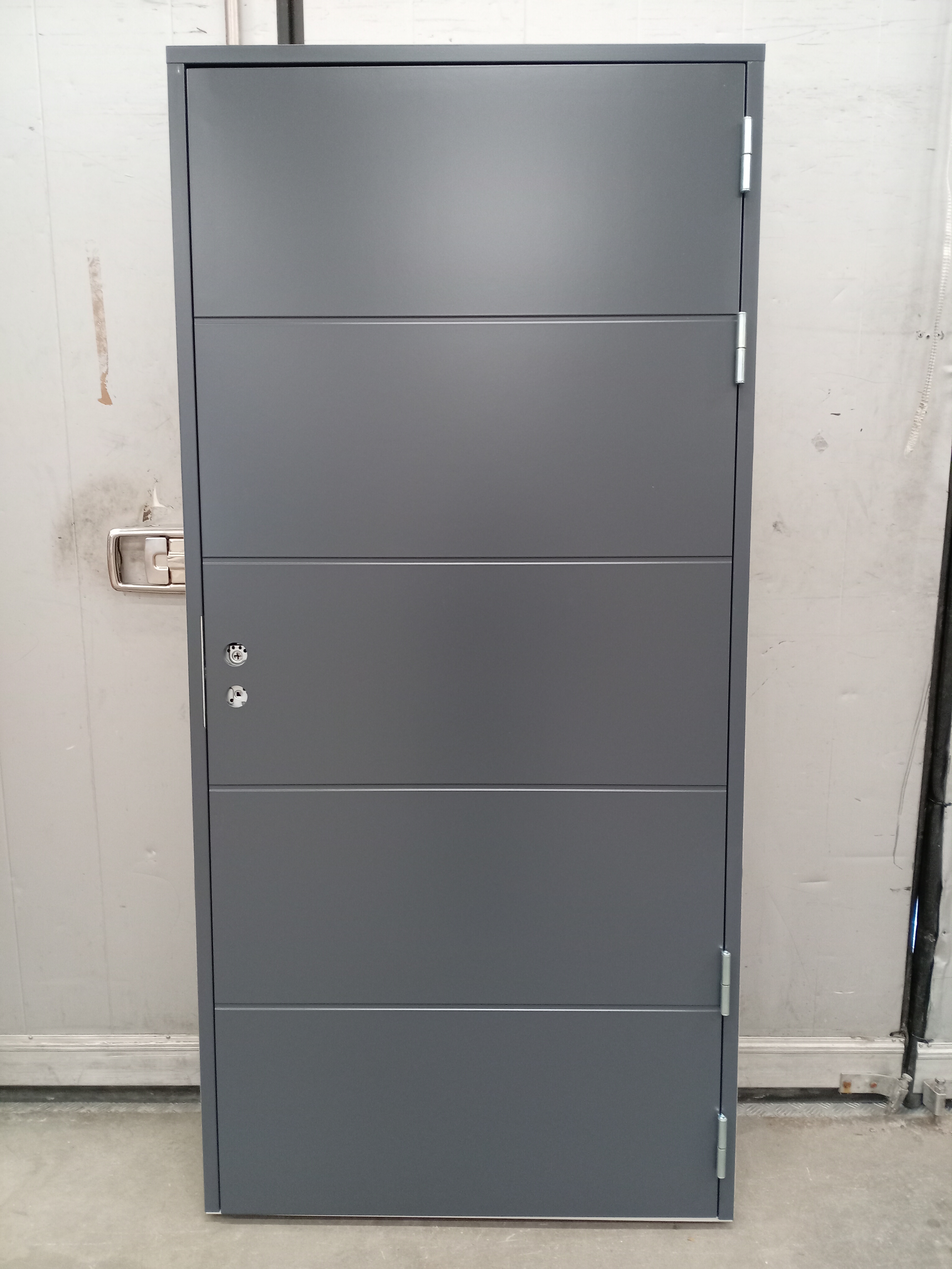 PNE-191, LUOTIKAS VAAKA 1.0, 990x2080, OIK, Harm