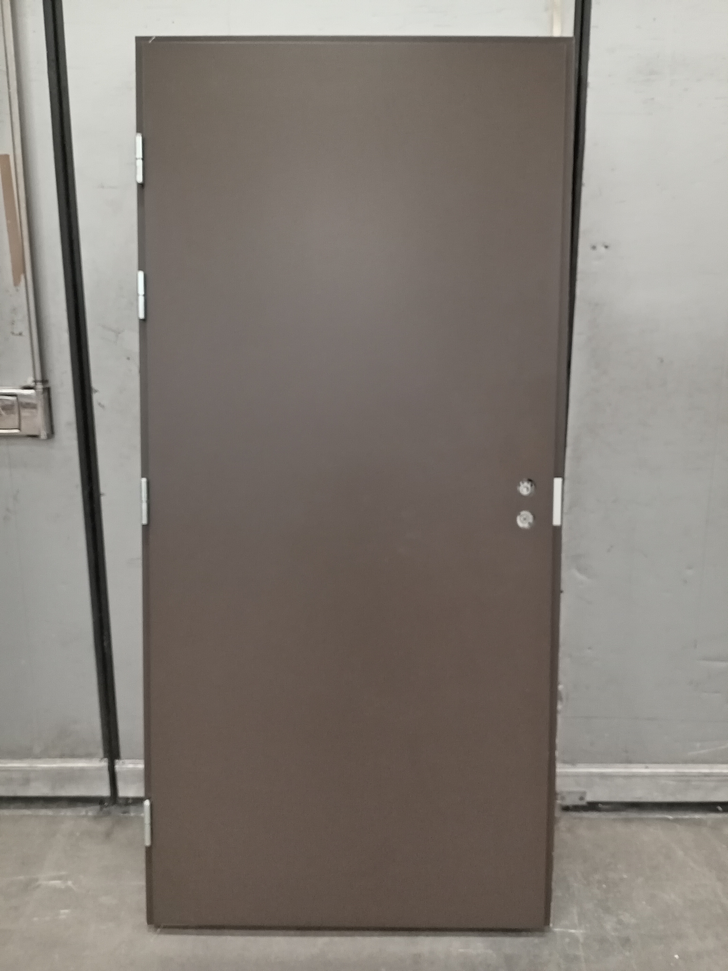 SKA-1676 Skaala SKCFS-413M EI30/dB35, 990x2090, VAS, Rusk